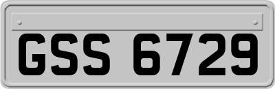 GSS6729