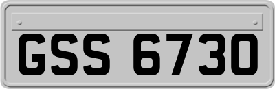GSS6730