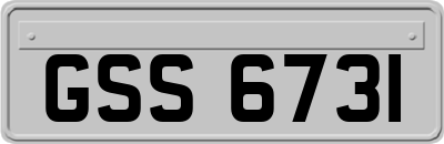 GSS6731