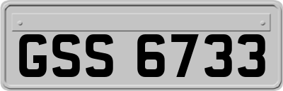GSS6733