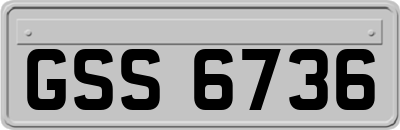GSS6736