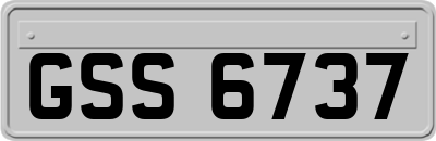 GSS6737