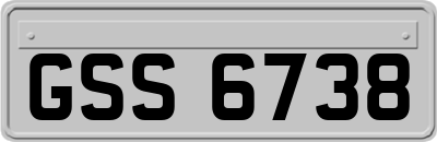 GSS6738