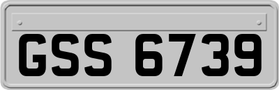 GSS6739