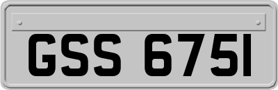 GSS6751