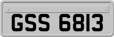 GSS6813