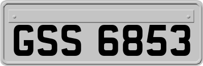 GSS6853