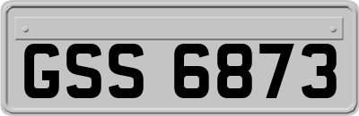 GSS6873