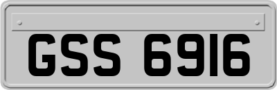 GSS6916