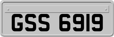 GSS6919
