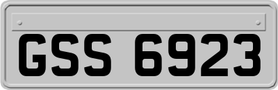 GSS6923