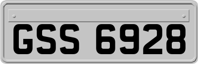 GSS6928