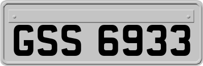 GSS6933