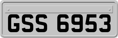 GSS6953