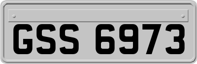 GSS6973