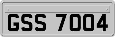 GSS7004