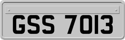 GSS7013