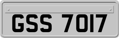 GSS7017