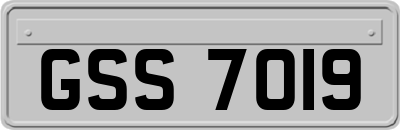 GSS7019