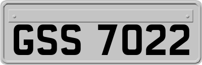 GSS7022