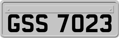 GSS7023