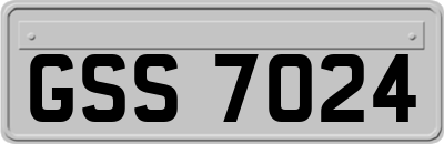 GSS7024