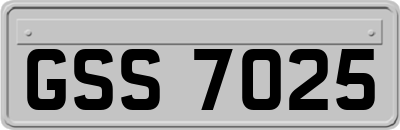 GSS7025