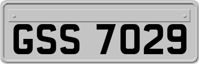 GSS7029