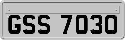GSS7030
