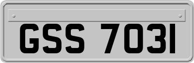 GSS7031