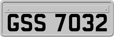 GSS7032