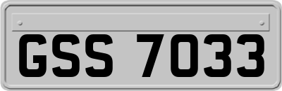 GSS7033
