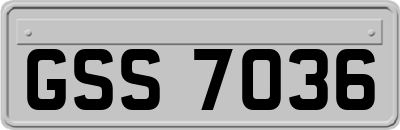 GSS7036