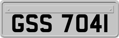 GSS7041