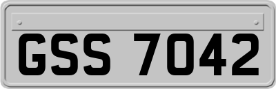 GSS7042