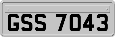 GSS7043