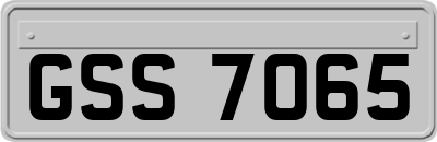 GSS7065