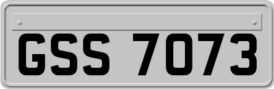 GSS7073