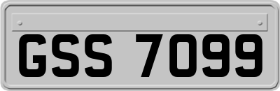 GSS7099