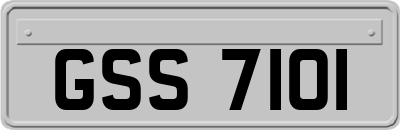 GSS7101