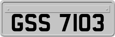 GSS7103