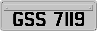 GSS7119