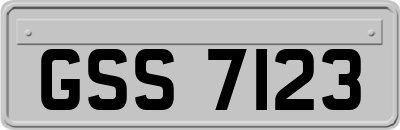 GSS7123
