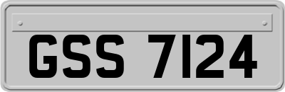 GSS7124