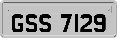 GSS7129