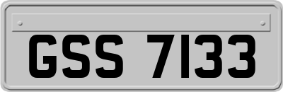 GSS7133
