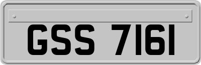 GSS7161