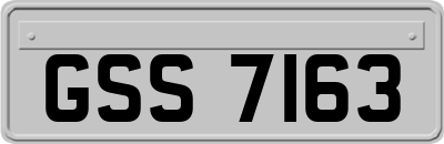 GSS7163
