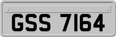 GSS7164
