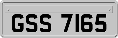 GSS7165